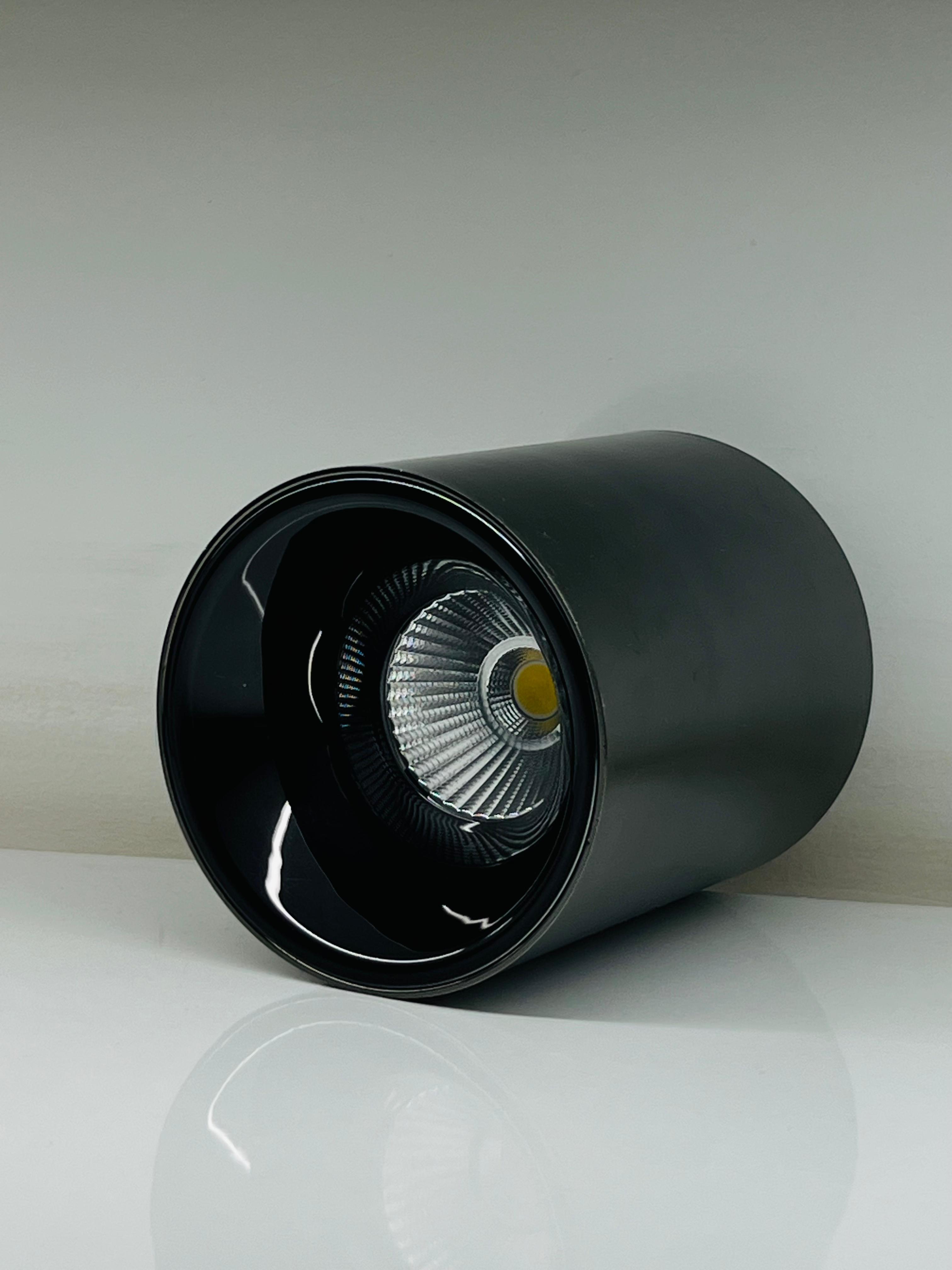 Adjustable Cylinder Track Light